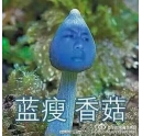藍(lán)瘦香菇什么梗 柯尼卡美能達(dá)復(fù)印機(jī)新代碼？